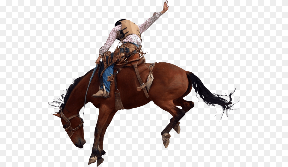 Cowboy, Adult, Female, Person, Woman Png Image