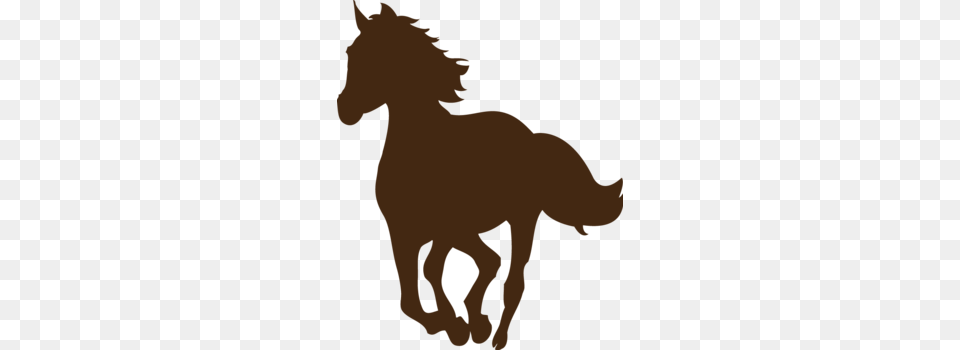 Cowboy, Animal, Colt Horse, Horse, Mammal Free Png Download