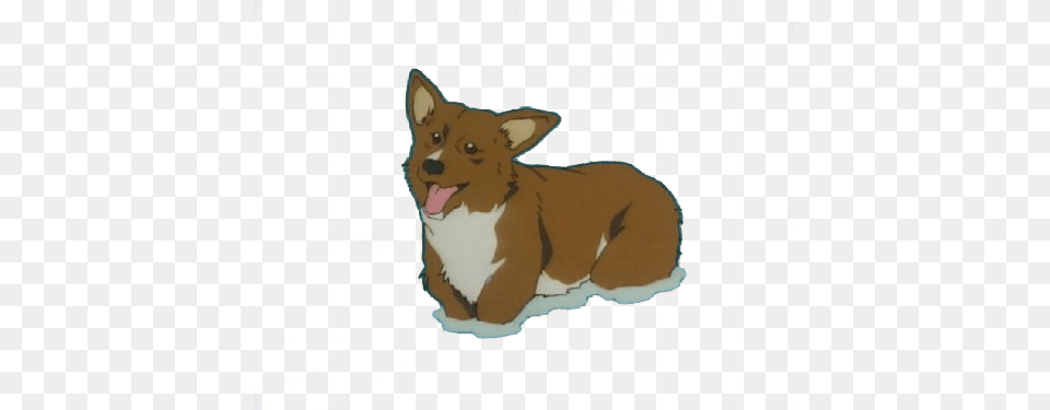 Cowboy Bebop Ein, Animal, Canine, Dog, Mammal Png