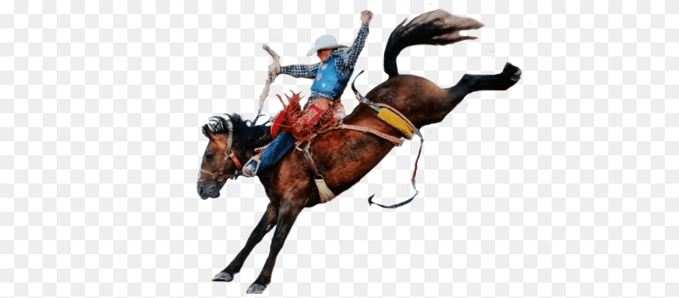 Cowboy Cowboy, Person, Rodeo, Animal, Horse Png