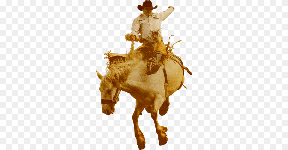 Cowboy Cowboy On Horse, Rodeo, Adult, Animal, Equestrian Free Png