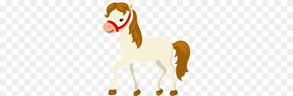 Cowboy E Cowgirl, Animal, Colt Horse, Horse, Mammal Png Image
