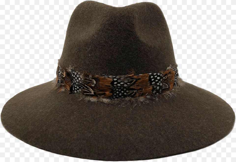 Cowboy Hat, Clothing, Sun Hat, Animal, Bird Png Image