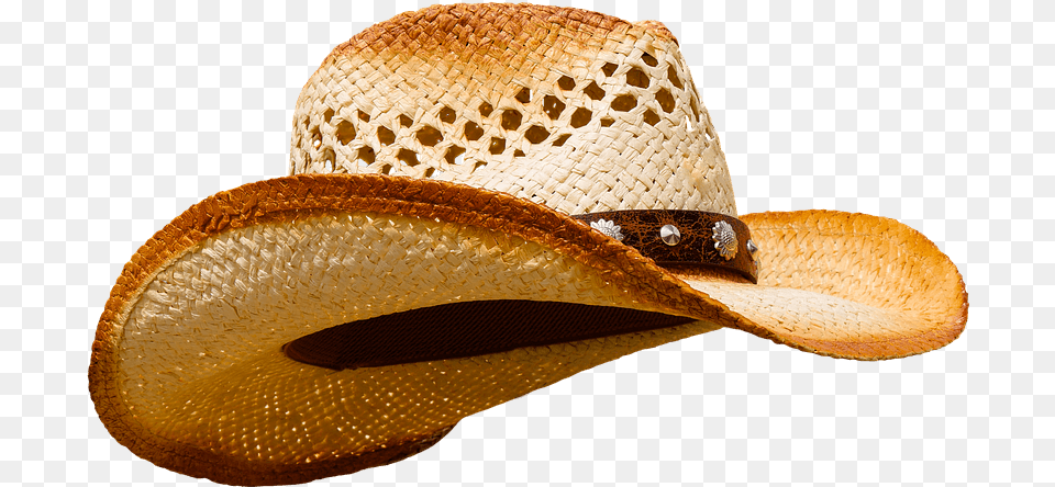 Cowboy Hat Chapu De Cowboy, Clothing, Cowboy Hat, Animal, Reptile Png Image