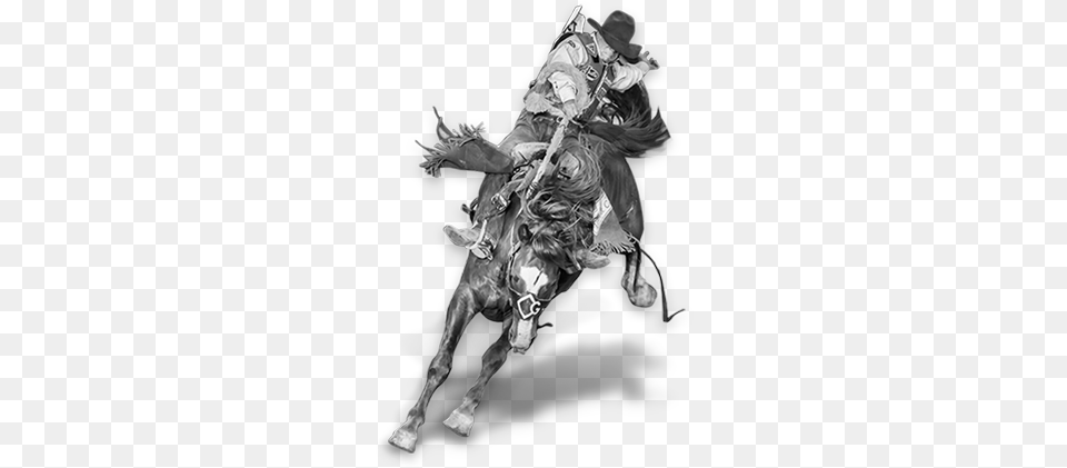 Cowboy News Professional Bull Riders, Adult, Bride, Female, Person Png