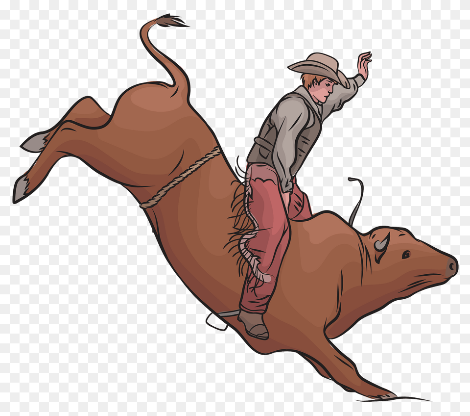 Cowboy Riding A Bull Clipart, Animal, Mammal, Person, Fish Png