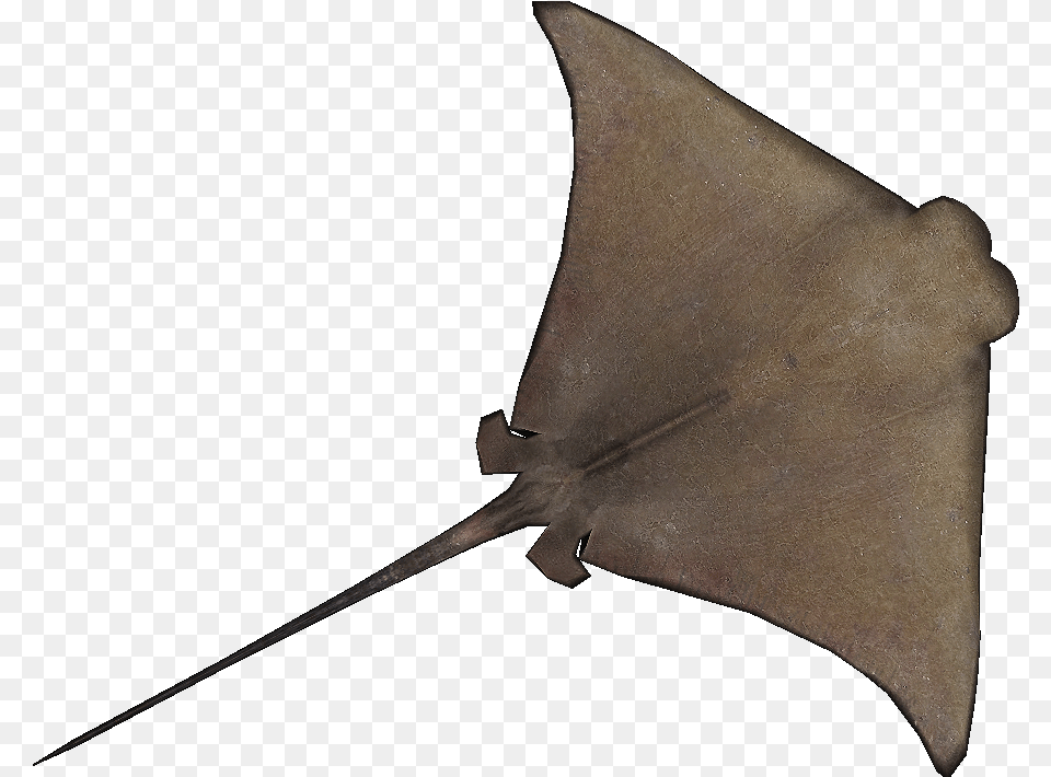 Cownose Ray Stingray Clipart, Animal, Fish, Sea Life, Manta Ray Free Png