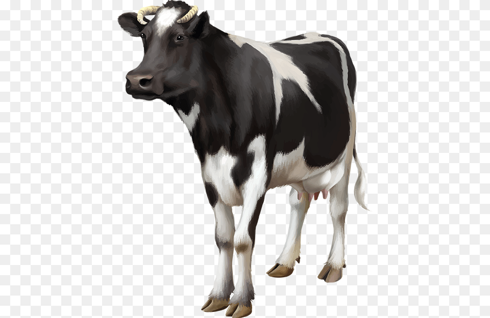 Cows, Animal, Cattle, Cow, Dairy Cow Free Png
