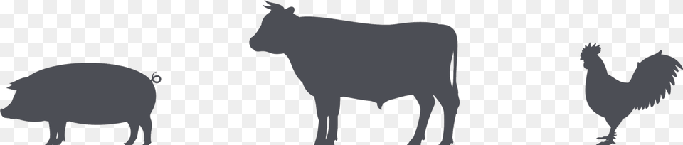 Cows Clip Black And White Chicken Huge Freebie Download Pig Cow Chicken Silhouette, Animal, Poultry, Fowl, Bird Free Transparent Png