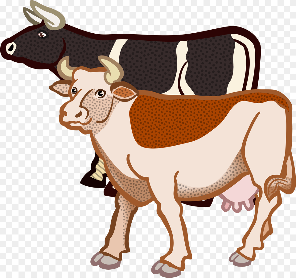 Cows Coloured Big Two Cows Clipart, Animal, Cattle, Cow, Livestock Png Image