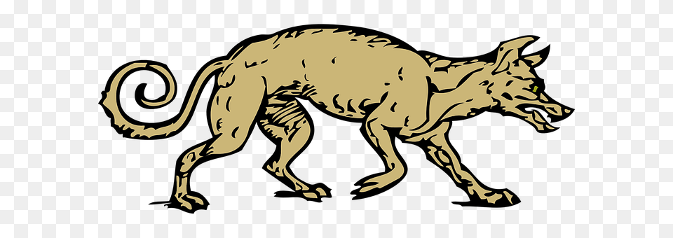 Coyote Animal, Mammal Free Png Download