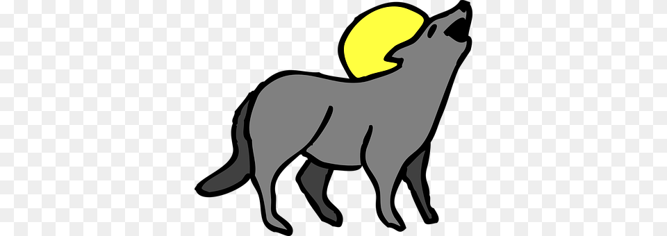 Coyote Animal, Kangaroo, Mammal Free Png