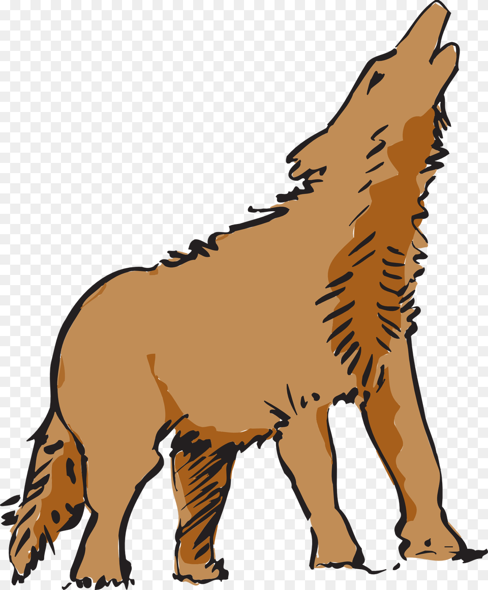 Coyote Clip Art Clipart Fans Wolf Animal Clipart, Mammal, Kangaroo Free Png Download