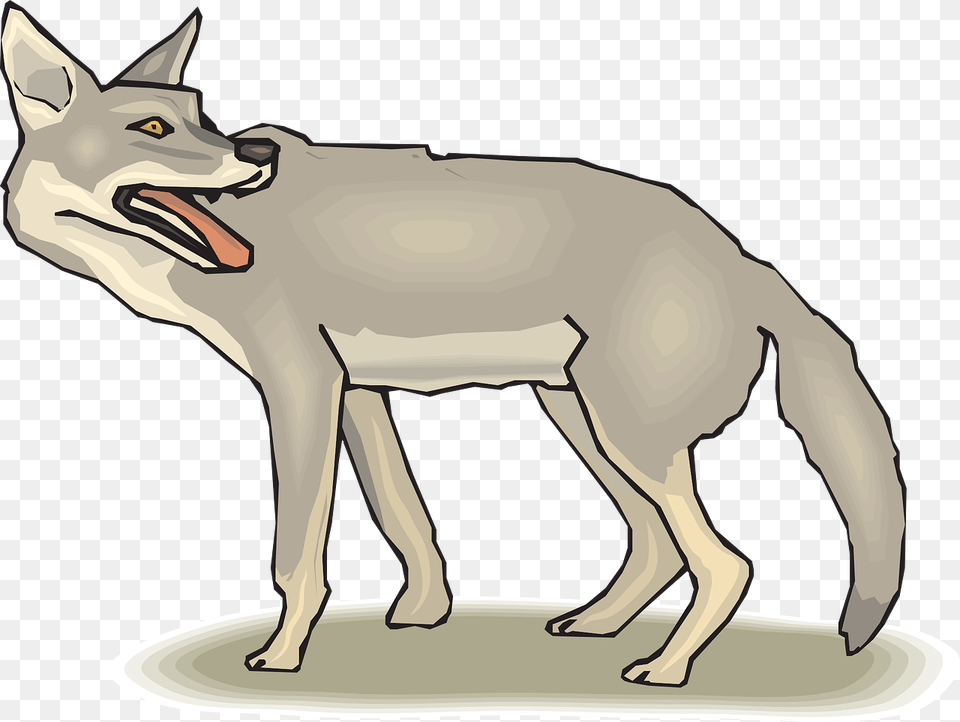 Coyote Clipart, Animal, Mammal, Canine, Red Wolf Png Image