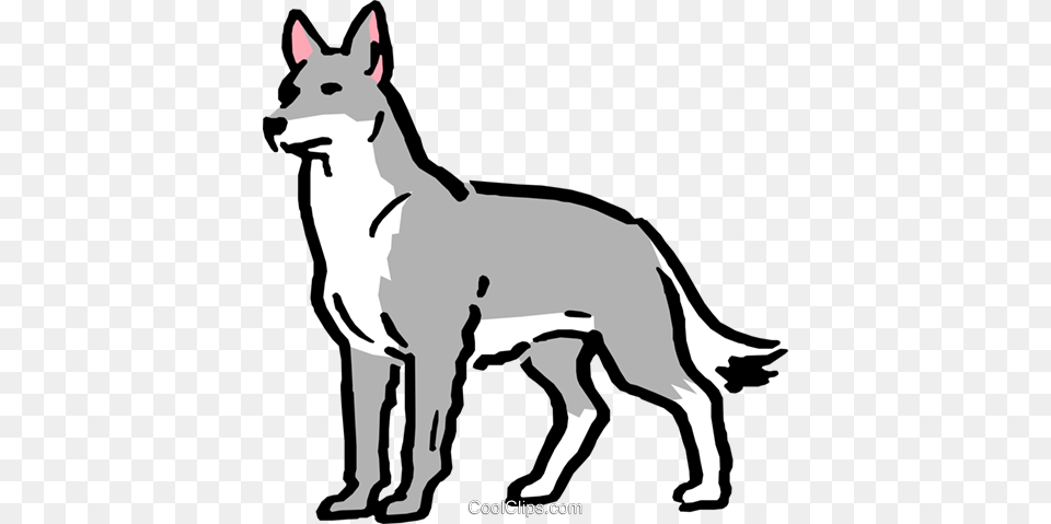Coyote Clipart, Stencil, Animal, Canine, Dog Png Image