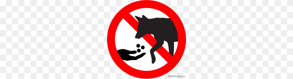 Coyote Clipart, Sign, Symbol, Road Sign Free Transparent Png