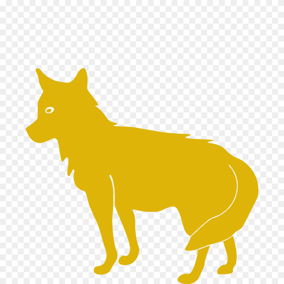 Coyote Clipart Land Animal, Mammal, Cat, Pet, Wolf Png Image
