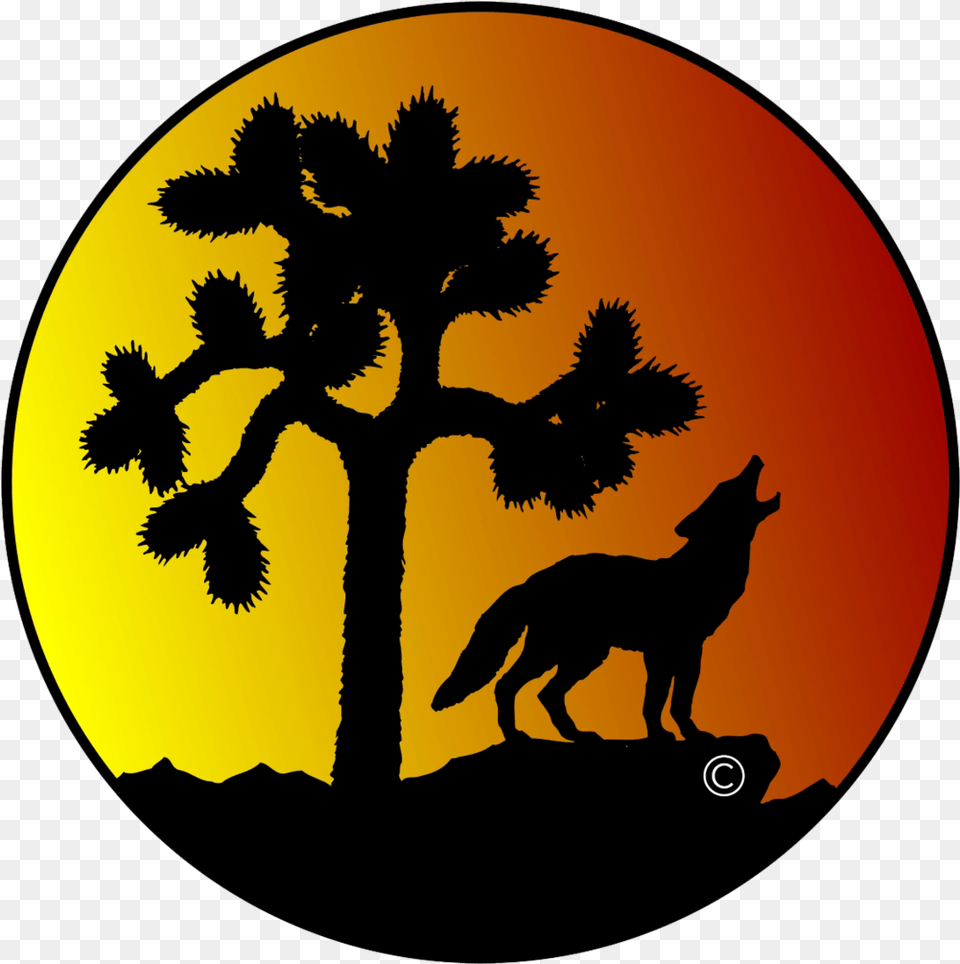 Coyote Corner Joshua Tree, Silhouette, Animal, Canine, Dog Free Transparent Png