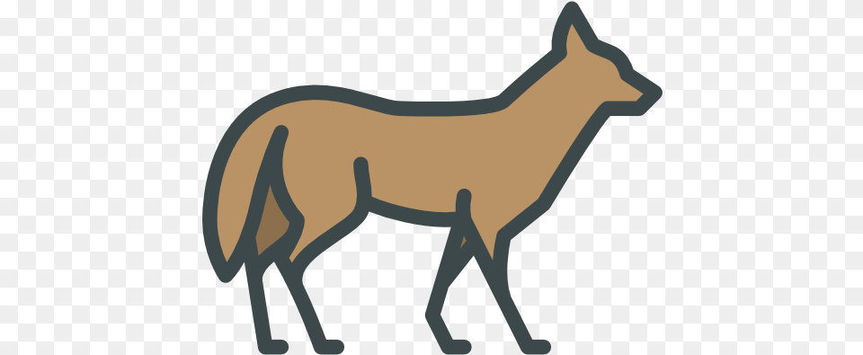 Coyote Free Animals Icons Transparent Coyote Icon, Animal, Mammal, Fox, Wildlife Png
