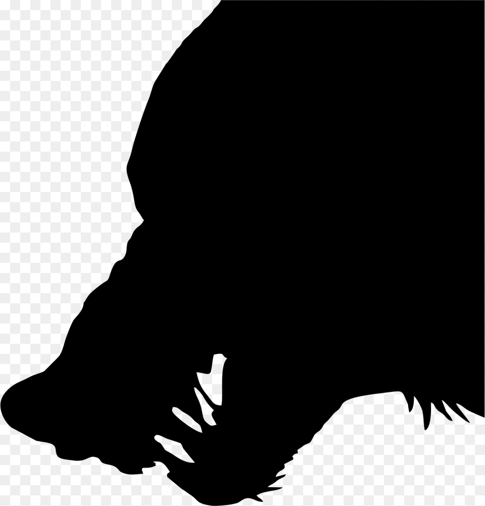 Coyote Howling, Silhouette, Animal, Bear, Mammal Free Transparent Png