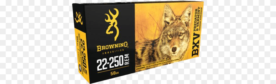 Coyote Hunting Gear Checklist And Suggestions Kinseyu0027s Browning Win Bxr, Animal, Mammal, Blackboard, Box Png Image