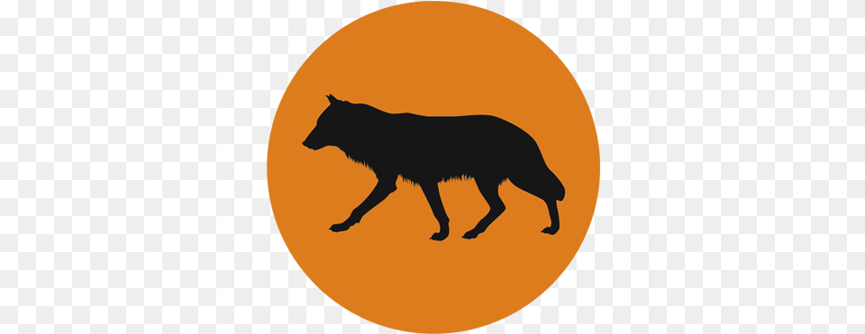 Coyote Icon Animal Ark Coyote, Mammal, Wolf, Horse Free Png