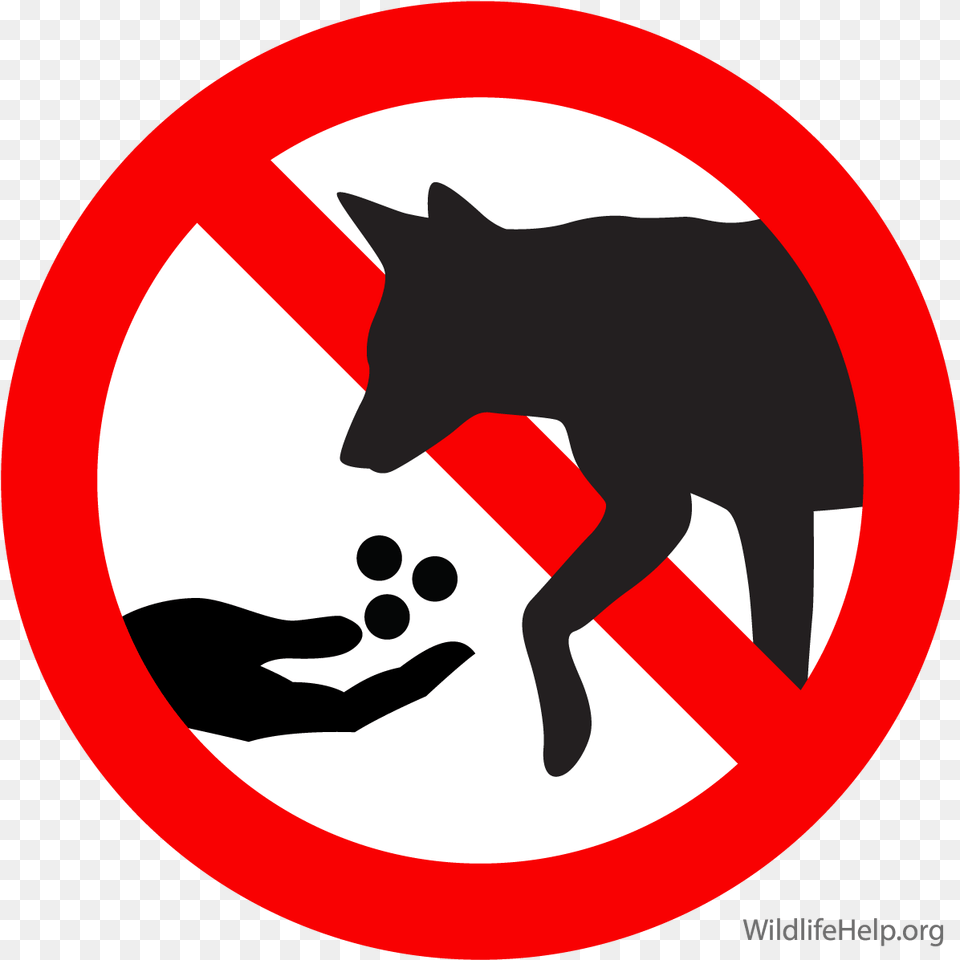 Coyote In Massachusetts Don T Feed Animals, Sign, Symbol, Road Sign Png