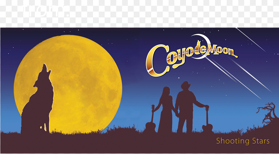 Coyote Moon Backgrounds, Outdoors, Night, Nature, Adult Free Png