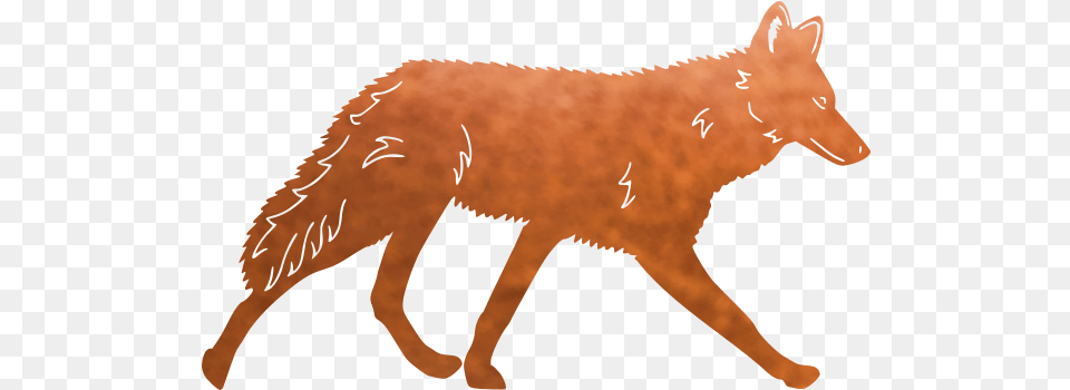 Coyote Red Fox, Animal, Mammal, Wolf, Canine Png Image