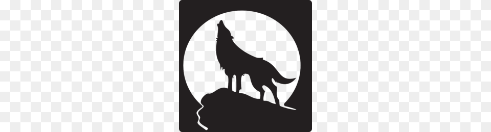 Coyote Silhouette Clipart, Animal, Mammal, Wolf Free Transparent Png