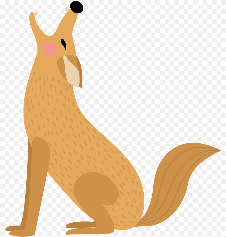 Coyote U2013 Animal Care And Control Cartoon Coyote, Mammal, Kangaroo Png