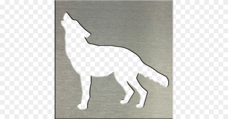 Coyote Wolf, Silhouette, Animal, Mammal, Canine Png