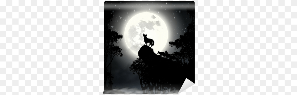 Coyote Yelps Fifth Grade Pourquoi Tales Book, Moon, Astronomy, Silhouette, Outdoors Free Png Download