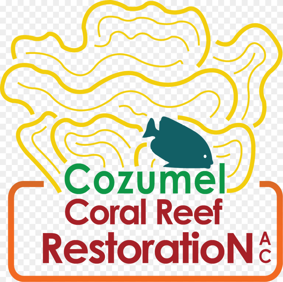 Cozumel Coral Reef Restoration, Animal, Fish, Sea Life, Advertisement Free Png