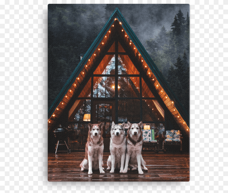 Cozy A Frame Cabin Canvas Husky Dog And Cabin, Animal, Pet, Canine, Mammal Png