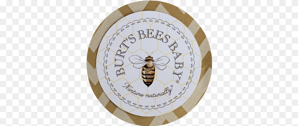 Cozy And Comfy In Burts Bees Baby Clothing Bees, Animal, Bee, Honey Bee, Insect Free Transparent Png
