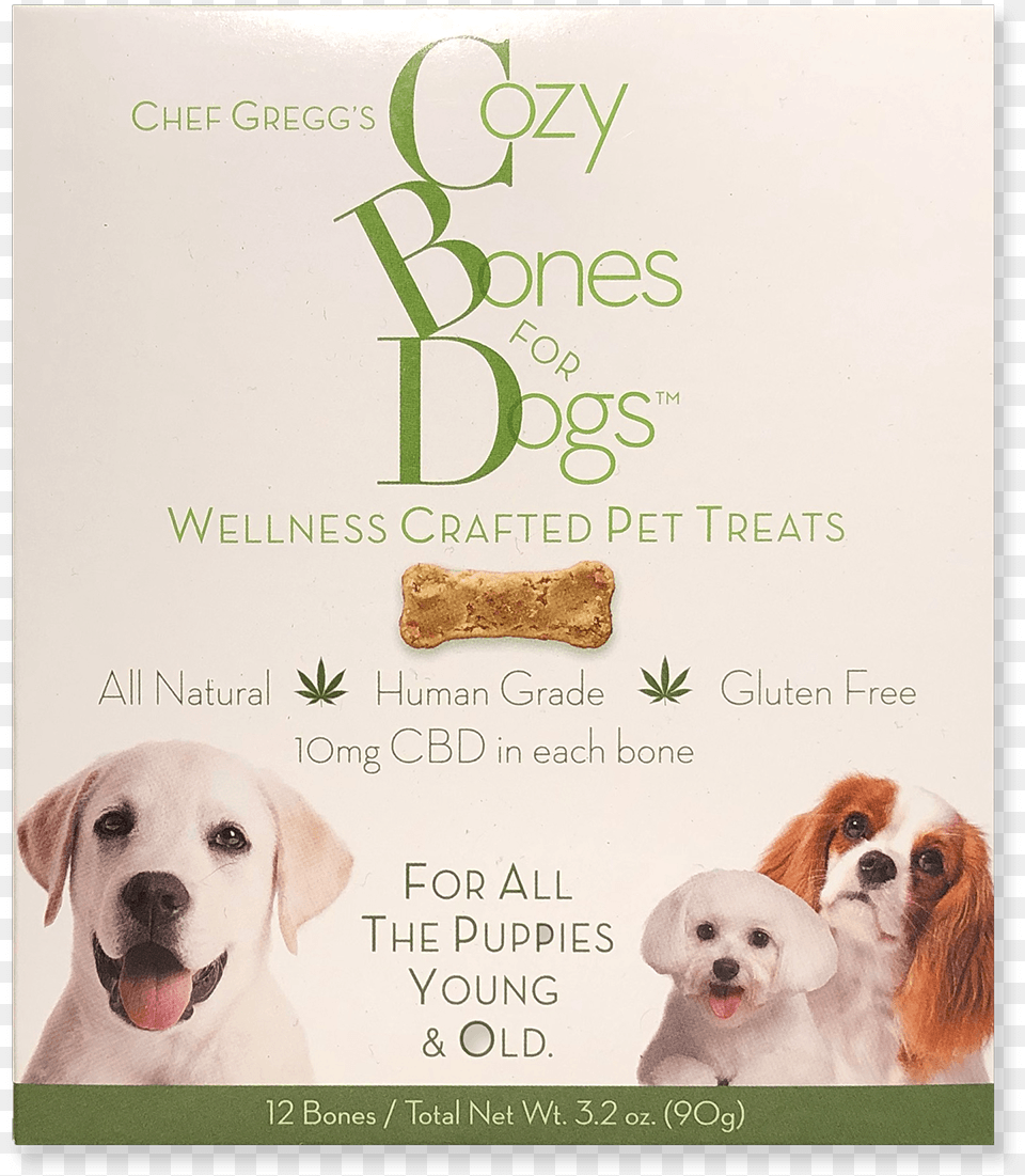 Cozy Bones For Dogs Labrador Retriever, Advertisement, Poster, Mail, Greeting Card Png Image