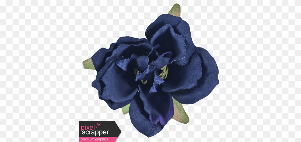 Cozy Kitchen Navy Blue Silk Flower Graphic By Violet Navy Blue Silk Flowers, Plant, Petal, Anther, Geranium Png