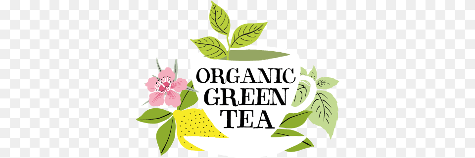 Cp Organic Green Tea Lockup Fair Trade Tea, Herbal, Herbs, Plant, Leaf Free Png