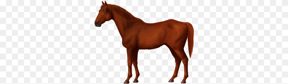 Cp Red Lightning U2022 Horse World Online Appaloosa, Animal, Colt Horse, Mammal Free Png Download