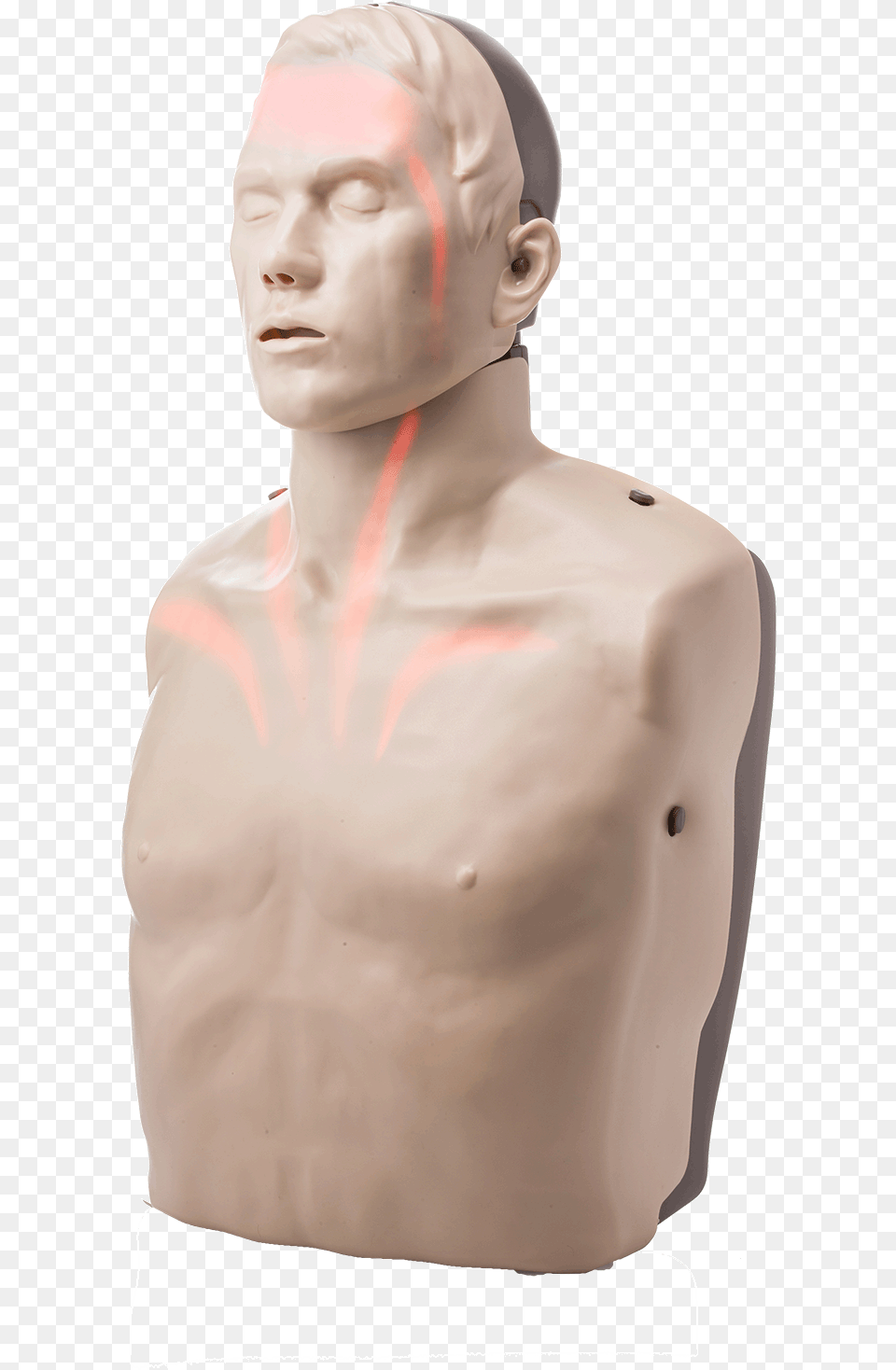 Cpr Manikin With Led Light Feedback Red Cross Store Cpr Dummy, Body Part, Person, Torso, Adult Free Png Download