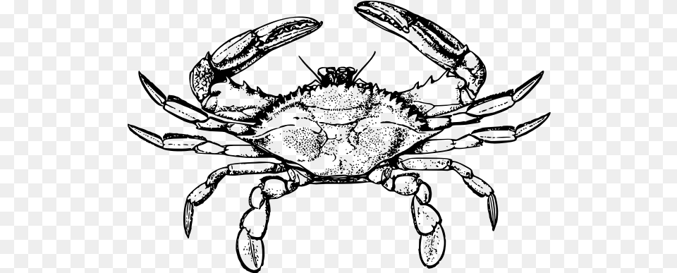 Crab, Gray Png