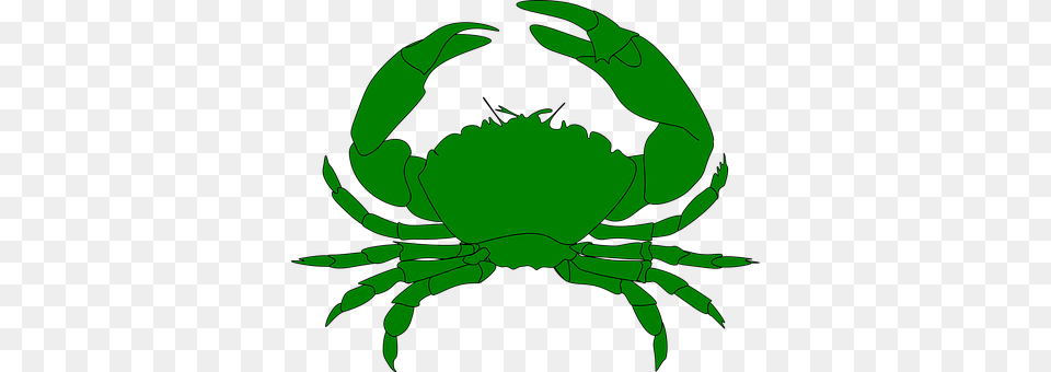 Crab Seafood, Food, Sea Life, Invertebrate Free Transparent Png