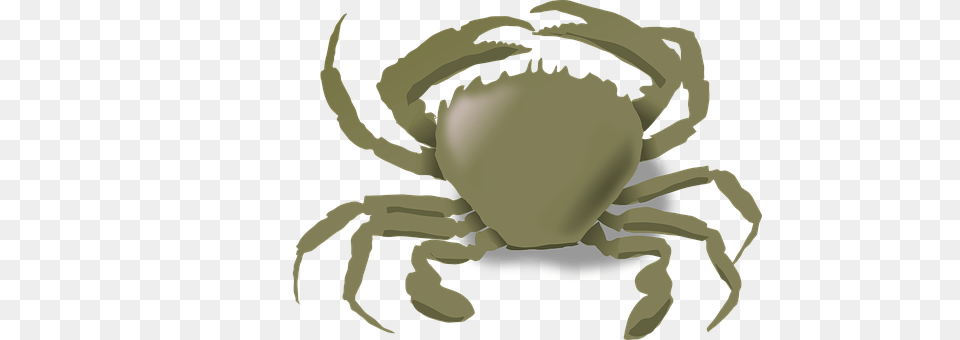 Crab Food, Seafood, Animal, Invertebrate Free Png Download