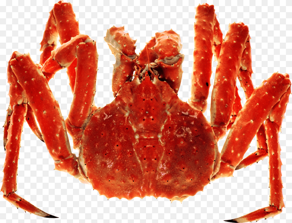Crab, Food, Seafood, Animal, Invertebrate Png