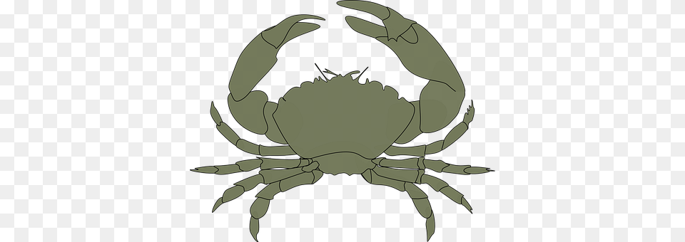 Crab Seafood, Food, Sea Life, Invertebrate Png