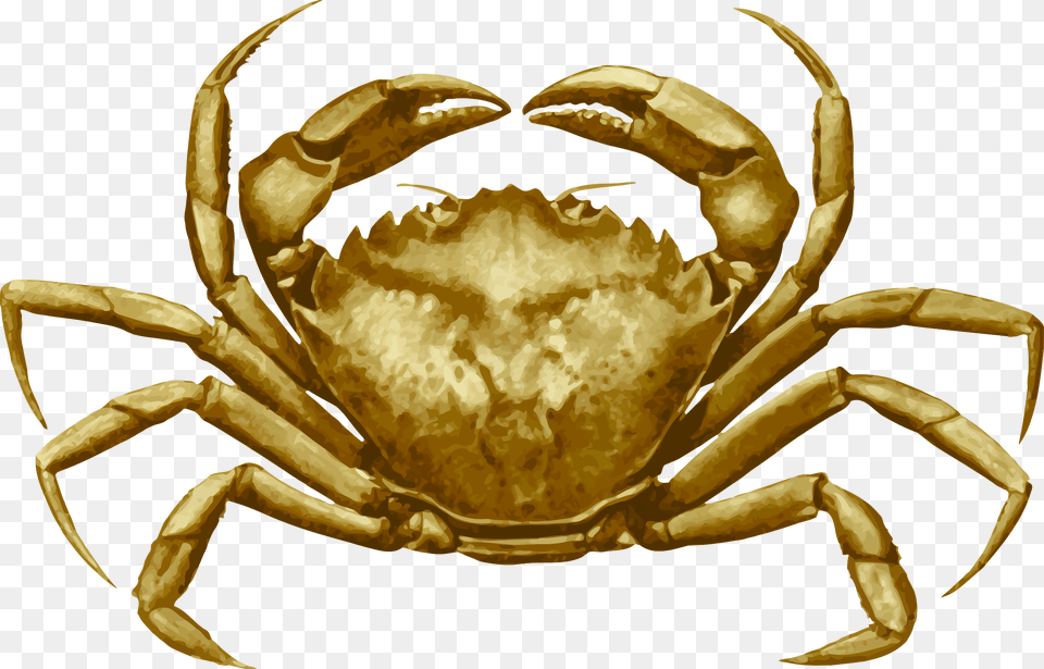 Crab 4 Clip Arts Cancer Pagurus, Animal, Food, Invertebrate, Sea Life Free Png