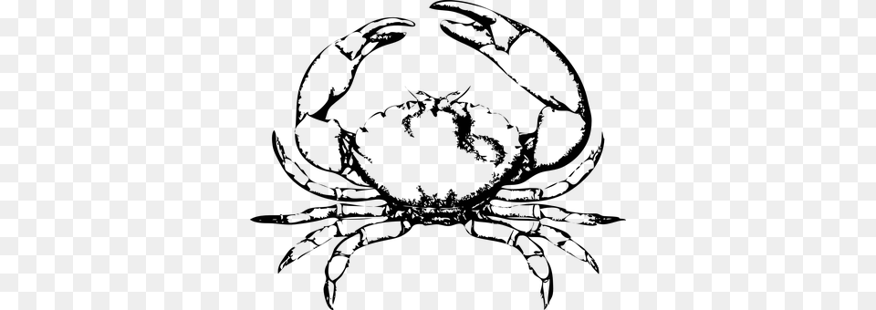Crab Png Image