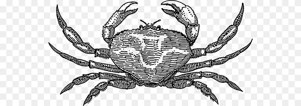 Crab Gray Png