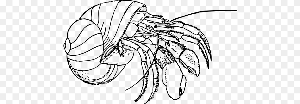 Crab Black And White Cartoon Crab Free Download Clip Art, Drawing, Food, Seafood, Animal Png